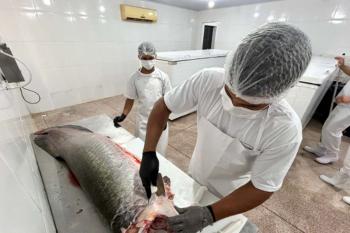 Prefeitura de Porto Velho fortalece cadeia do pescado e garante mais segurança alimentar para consumidores 