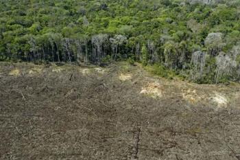 Imazon aponta desmatamento zero em 60% de terras indígenas na Amazônia
