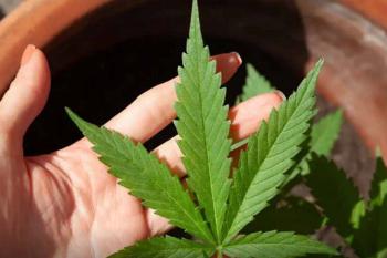 Suprema Corte dos EUA libera parcialmente porte de armas a usuários de maconha
