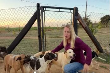 Ieda Chaves reforça mobilização contra maus-tratos e incentiva adoção de animais