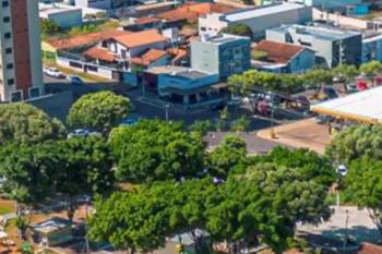 Planejar, plantar e cuidar: Prefeitura lança cartilha de arborização urbana