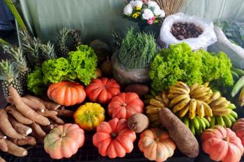 Edital de chamada pública do PAA é publicado pelo governo de RO para compra de alimentos da agricultura familiar