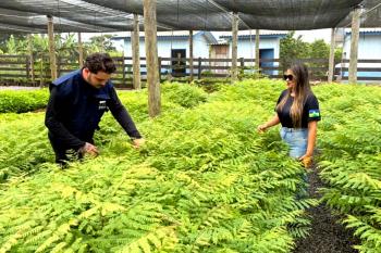 Governo de Rondônia realiza vistorias técnicas em viveiros municipais do projeto “Colhendo Sementes, Construindo Viveiros, Plantando Florestas”