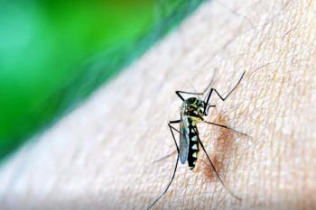 OMS: dengue é indicador da relação mudanças climáticas e arboviroses