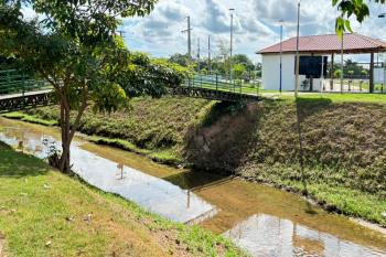 Após limpeza da Prefeitura, peixes voltam a aparecer no Igarapé do Botinha