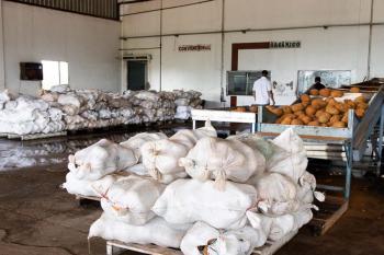 Cooperativismo fortalece o campo e impulsiona desenvolvimento em Porto Velho