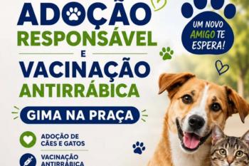 Prefeitura realizará uma ação especial de adoção responsável de cães e gatos e vacinação antirrábica gratuita