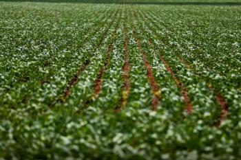 Reunião com bancada do agro termina sem acordo sobre dívidas rurais