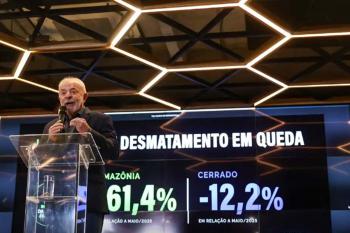 Desmatamento na Amazônia cai 61,4% em maio de 2026