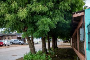 Porto Velho tem qualidade do ar afetada por queimadas no Amazonas e Prefeitura orienta população 