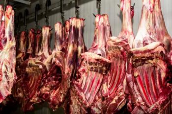 Cota chinesa faz exportação de carne bovina recuar 27,1% em agosto