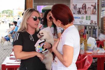 Ieda Chaves propõe estudo para criar Superintendência Estadual de Bem-Estar Animal em Rondônia