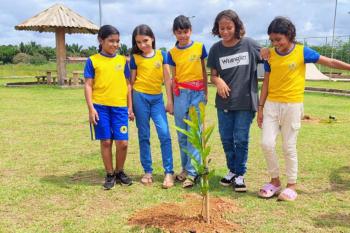 Plantio de árvores é feito na Praça da Juventude em Porto Velho