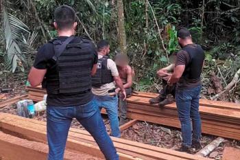 Dois homens são presos por exploração ilegal de madeira