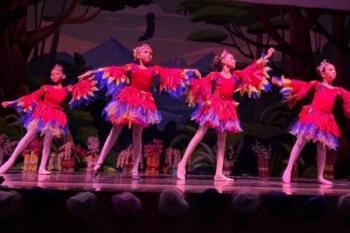 Prefeitura injeta mais de R$ 600 mil na cultura local por meio da Lei Paulo Gustavo 