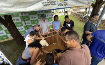 Adoção de cães e gatos é sucesso em feira realizada pela prefeitura