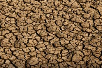 Desertificação no Brasil ameaça segurança hídrica e alimentar