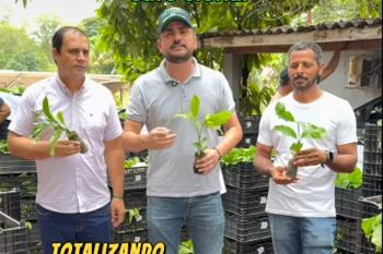 Deputado Jean Mendonça acompanha entrega de mudas de café clonal em Primavera de Rondônia