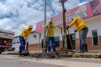 Mutirão de limpeza e roçagem atende mais quatro avenidas da capital
