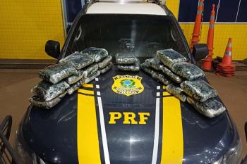 PRF apreende mais de 13 kg de substância análoga à skunk na BR-364