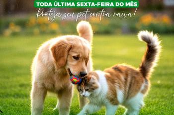 Prefeitura de Espigão do Oeste oferta vacina antirraábica gratuita por meio da Divisão de Endemias