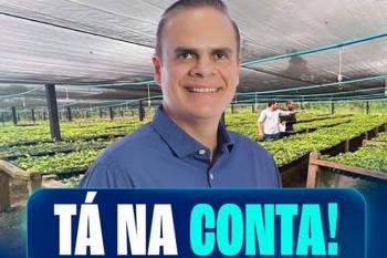 Alan Queiroz destina R$ 1,25 milhão para compra de mudas de café em sete municípios de Rondônia