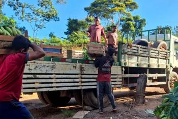 Transporte gratuito da produção beneficia centenas de agricultores familiares no primeiro semestre de 2026