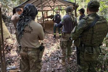 PF combate extração ilegal de madeira em terra indígena de Rondônia