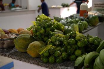 Prefeitura abre Chamada Pública para compra de alimentos da Agricultura Familiar