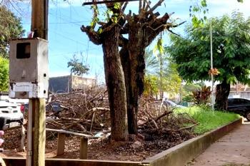 População cobra providências na limpeza de área em frente a órgãi público