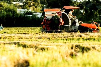 Prefeitura abre chamada pública para aquisição de alimentos da agricultura familiar