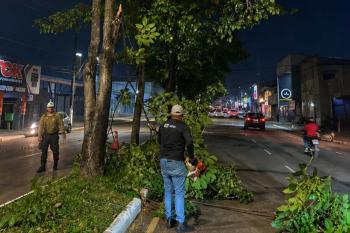 Ação integrada de poda noturna melhora segurança e iluminação nas principais vias da capital