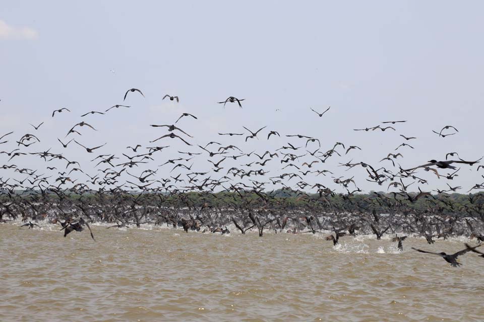 Prefeitura de Porto Velho realiza estudo para implantação de turismo de base comunitária no Lago do Cuniã