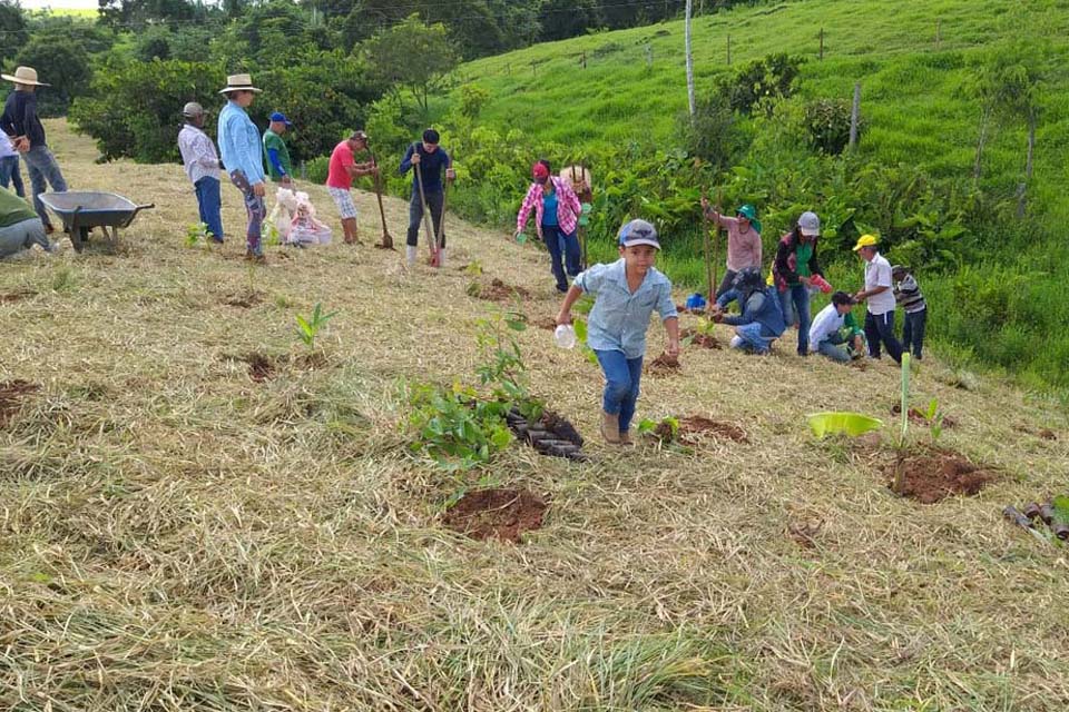 Voluntários plantam 600 mudas para ajudar na recuperação de nascente