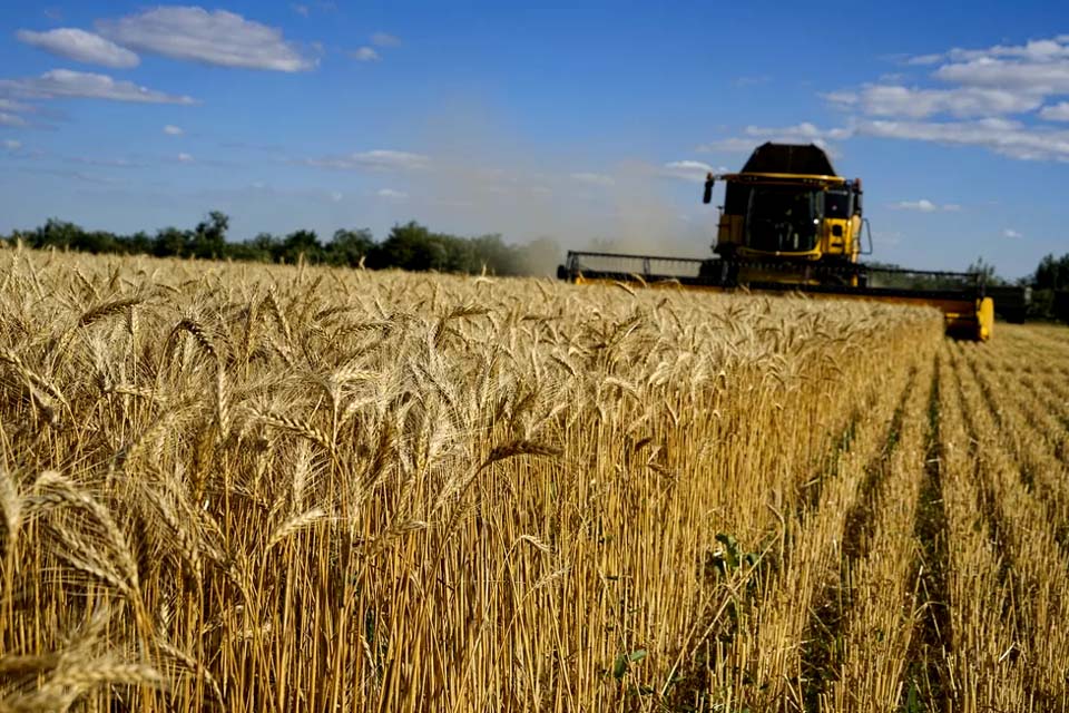 Ucrânia anuncia retomada de atividades nos portos para exportação de grãos