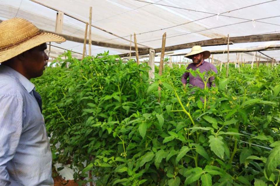 Semagri acompanha produção de agricultores familiares com visita técnica e levantamento de demandas