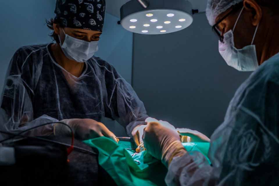 Inscrições abertas para Aprimoramento em Medicina Veterinária em Porto Velho