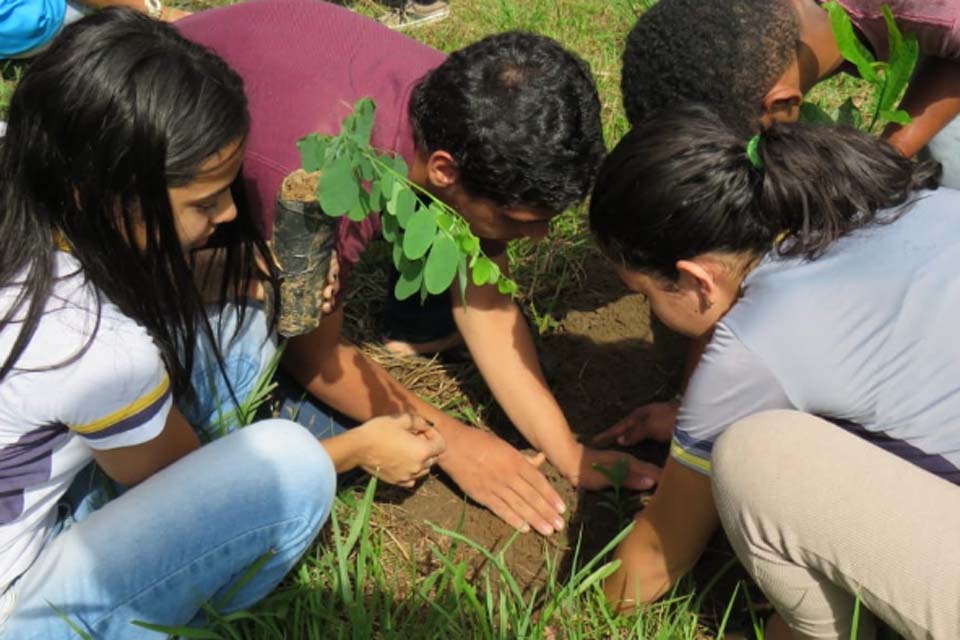Alunos da Escola Dayse Mara desenvolvem projeto para reparação do Meio Ambiente