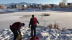 Cachorro é resgatado de lagoa congelada 