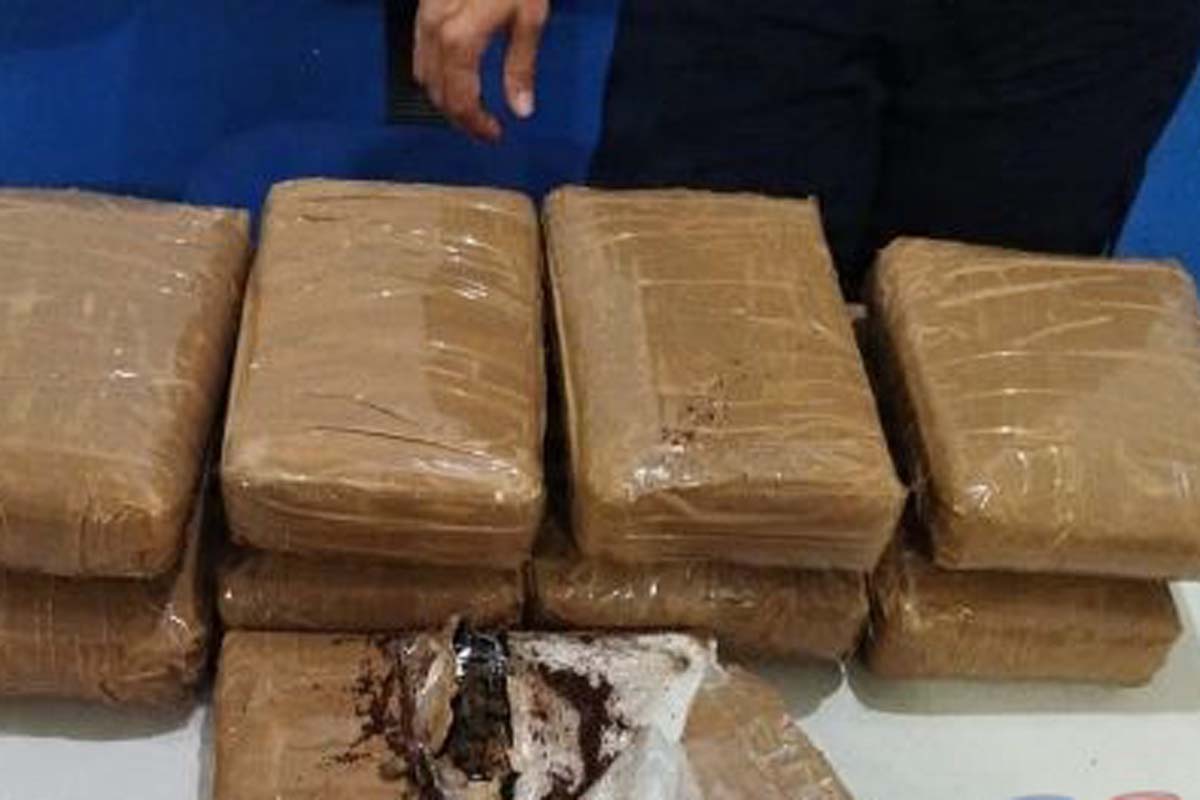 Passageira é flagrada com 10 quilos de maconha em ônibus