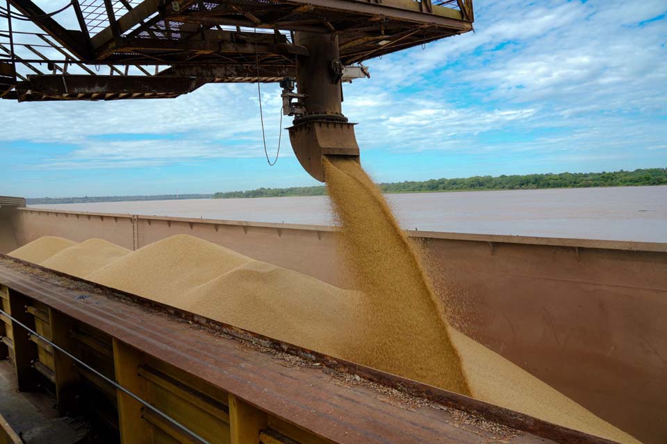 Crescimento da soja em Porto Velho: de 255 hectares plantados em 2005 para mais de 30 mil em 2022