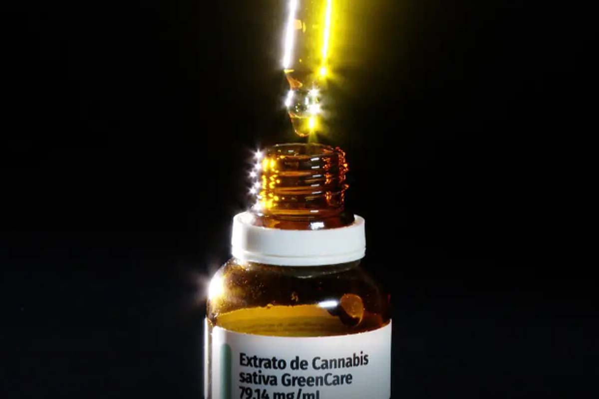 Autorizações para importação de cannabis aumentam 29% em 2026