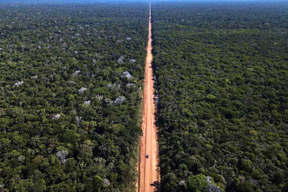 Governo de Rondônia destaca trabalho com Ministério de Infraestrutura e Frente Parlamentar para impulsionar recuperação da BR-319