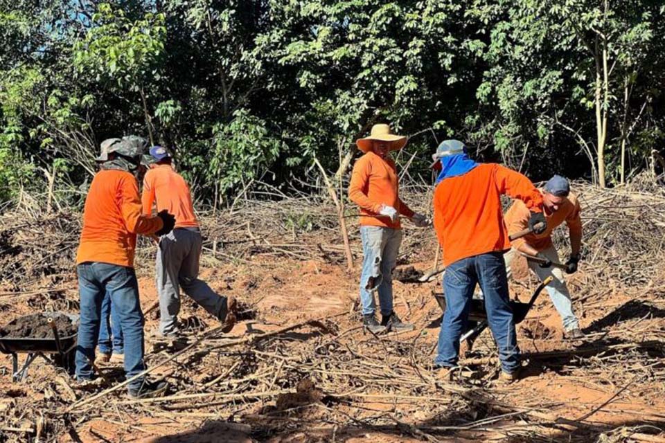 Projeto de reflorestamento fomenta ressocialização do Sistema Prisional em Vilhena