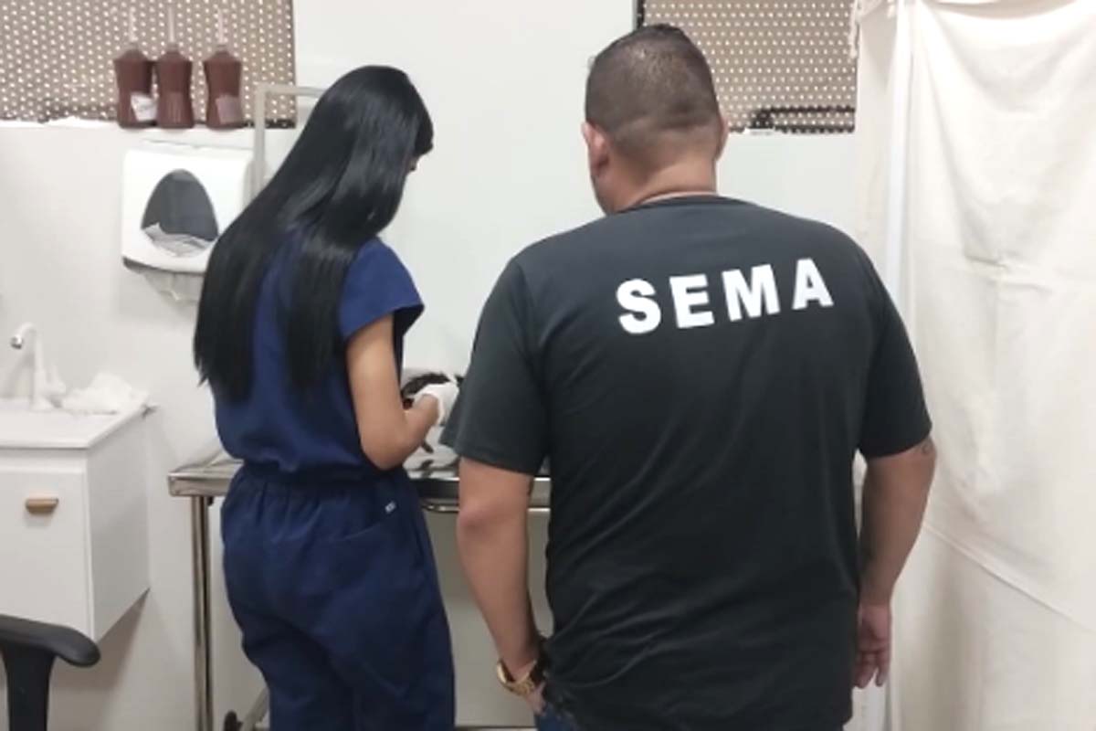 Sema resgata gato preso em bueiro na zona Sul de Porto Velho