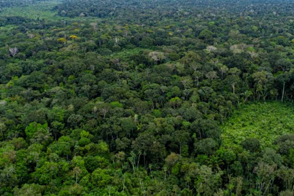 STF garante orçamento para proteção ambiental em Rondônia após atuação do MPRO