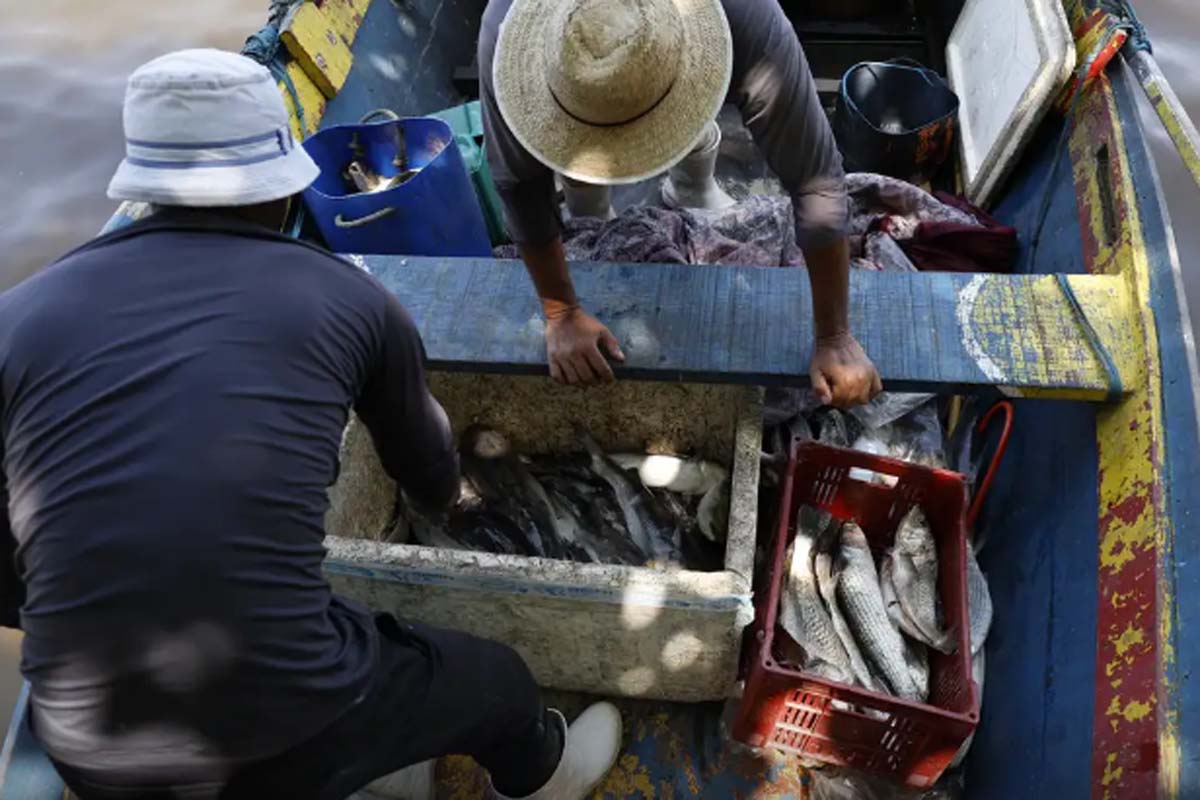 Pescadores beneficiados pelo Seguro-Defeso recebem 6º lote nesta terça