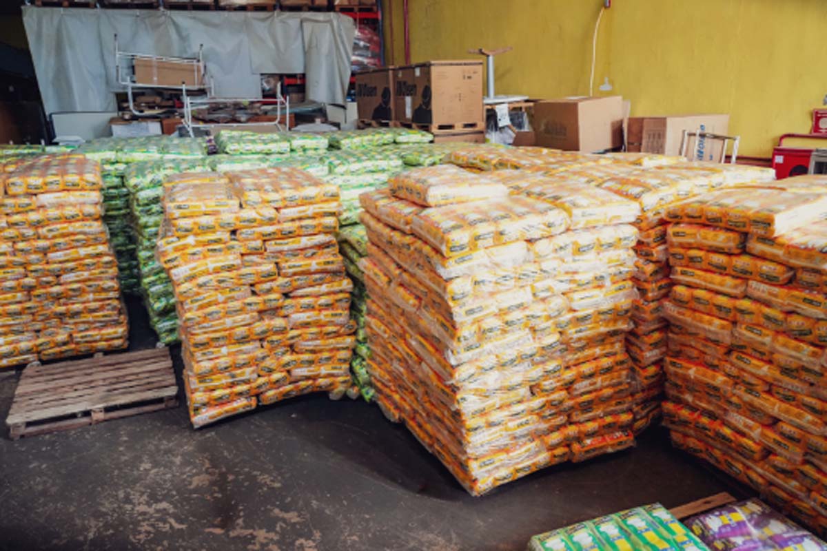 Prefeitura orienta população sobre como solicitar fraldas descartáveis em Porto Velho