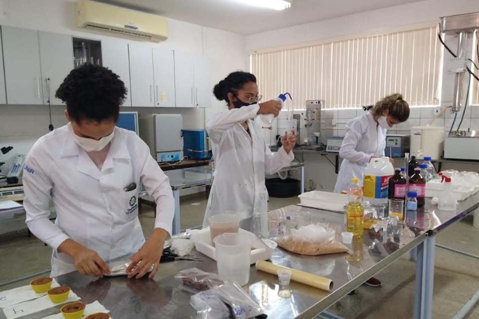 Pesquisa da UNIR desenvolve farinha  de pupunha para produção de alimentos