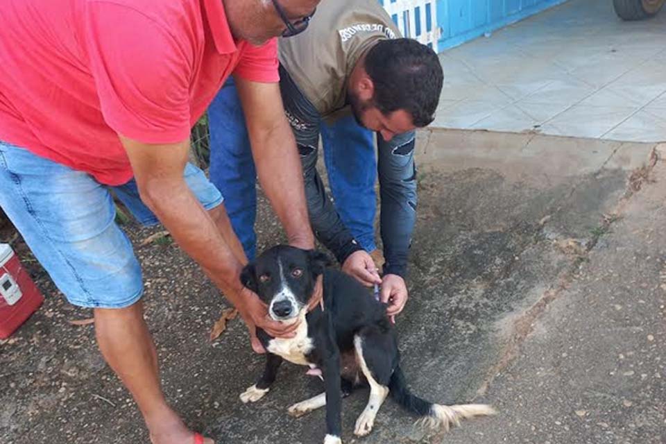 Prefeitura de Ji-Paraná realiza campanha de vacinação antirrábica na zona rural